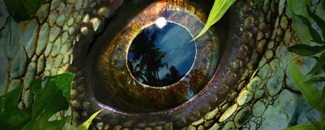 escape room Barcelona Jurassic land