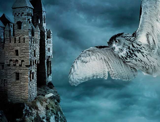 escape room Barcelona La puerta mágica