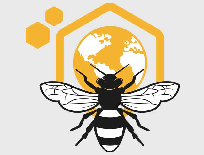 escape room Teruel Salvar a las abejas