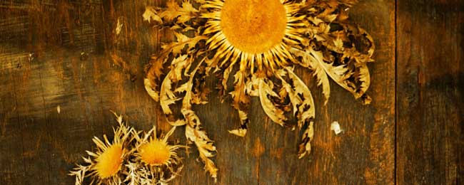 escape room Guipúzcoa - Gipuzkoa En busca del Eguzkilore