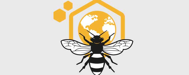 escape room Teruel Salvar a las abejas
