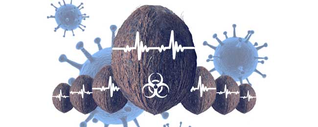 escape room Madrid Clínica Lithe (Virus)