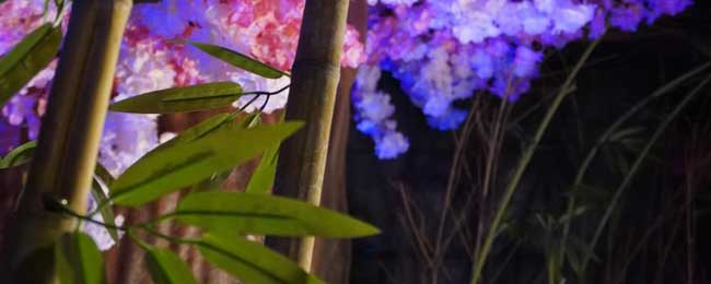 escape room Barcelona El camino del ninja