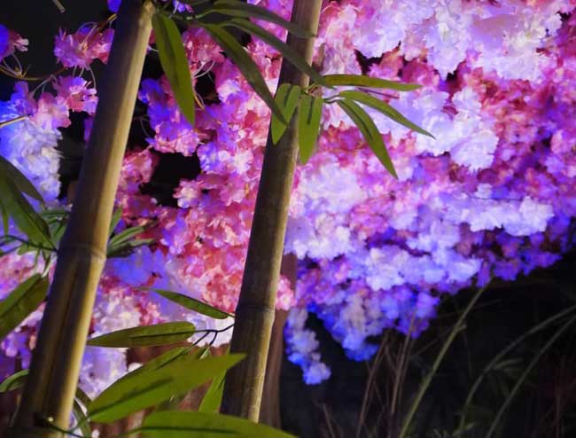 escape room Barcelona El camino del ninja