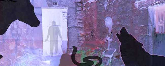 escape room Burgos Rural Encantada