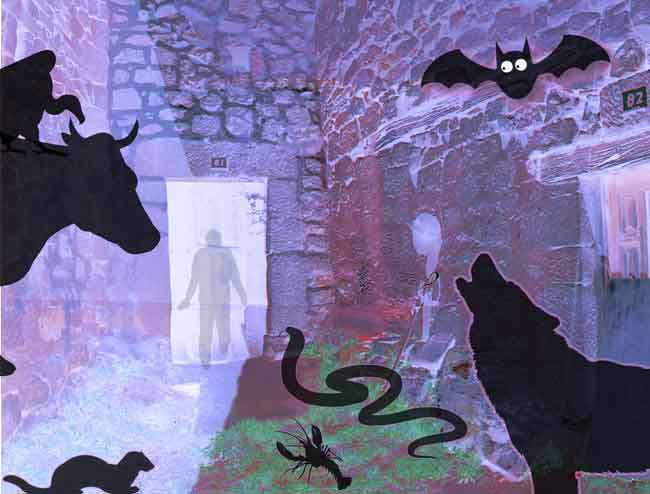 escape room Burgos Rural Encantada