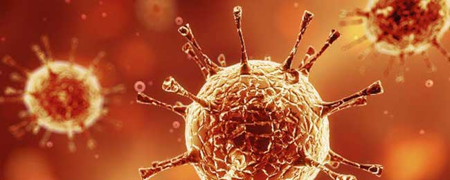 escape room Cantabria El virus