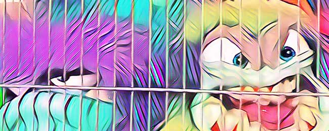 escape room Zaragoza Los hermanos Kraks