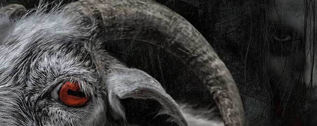 escape room Madrid Paranormal experience