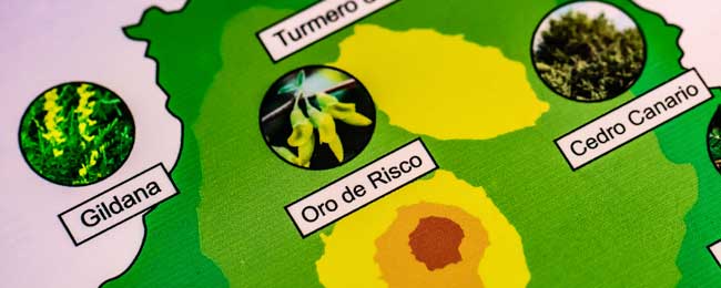 escape room Madrid El secreto del Güiniguada