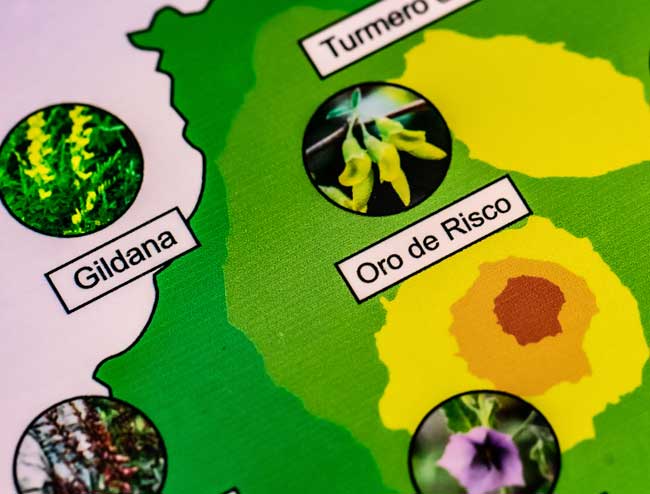 escape room Madrid El secreto del Güiniguada