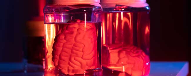 escape room Madrid Enganchados al gris