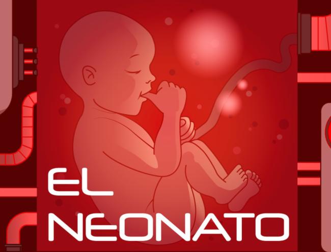 escape room Burgos El neonato