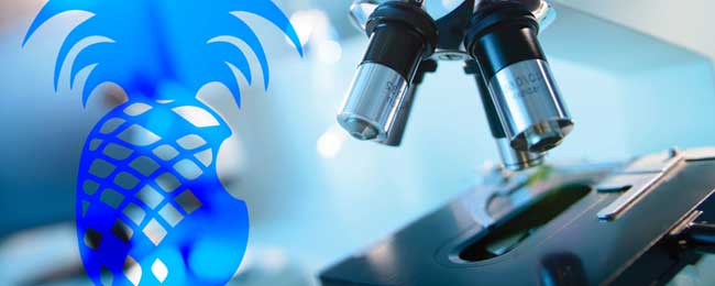 escape room La Coruña Pineapple Corporation