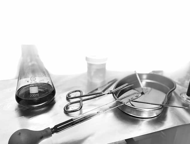 escape room Madrid Crisis biológica